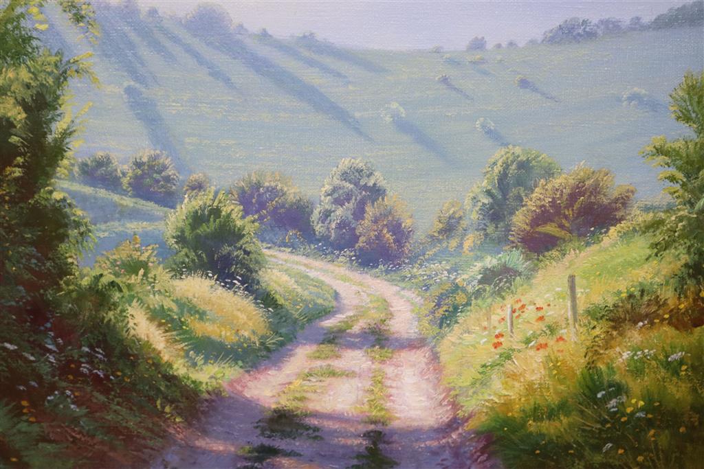 Christopher Osborne, oil on canvas, Morning Sunlight, Truleigh Hill, signed and inscribed verso, 30 x 40cm